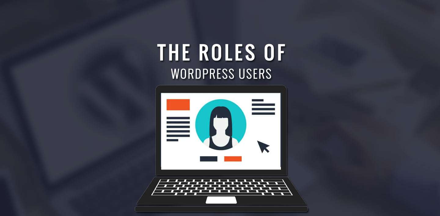 WordPress Users